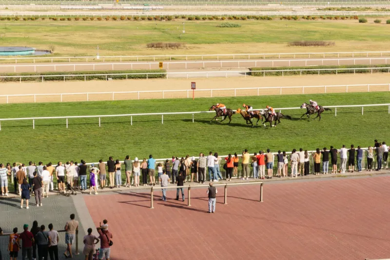 Flat Felt Is Dead: Why Australia's Biggest Punters Have Gone All-In on Live Betting