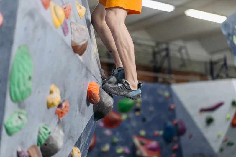Wired for the Edge: The Neuroscience That Links High-Stakes Casino Play to Extreme Sports
